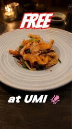 UMI Lake City — video 251